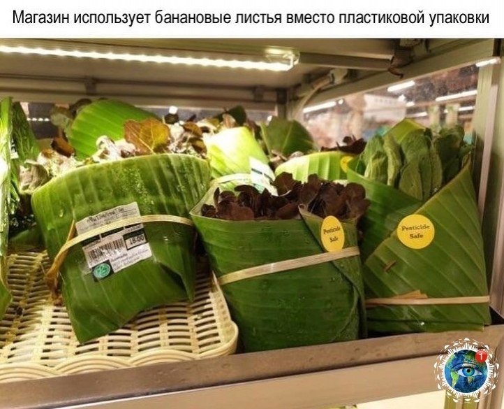    ,    - 10