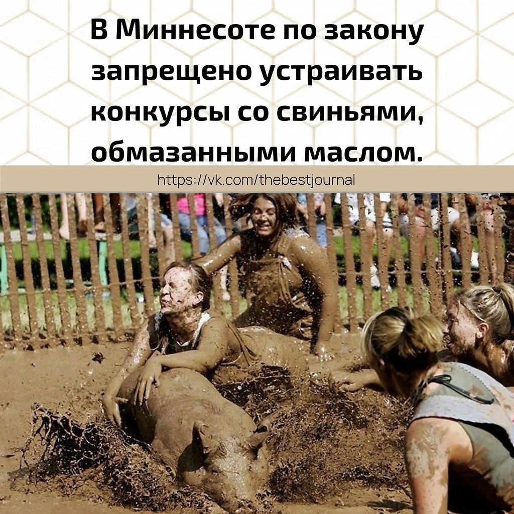 BEST | , ,  - 2  2021  19:28