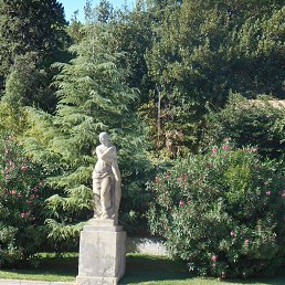 ���� ���, ��������� - ��������� 29 ���� 2021