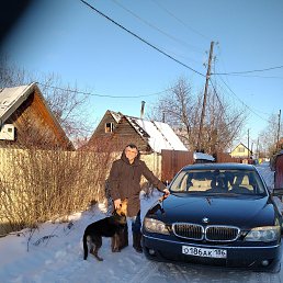 ������, �������������, 50 ���