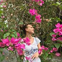 ���� �������, ����������, 49 ��� - ��������� 27 ���� 2021