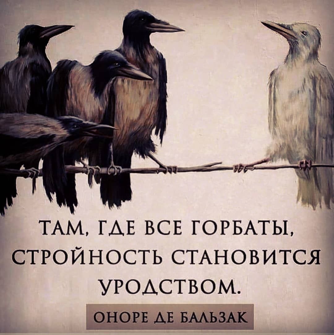 ���������� �������� ����� ������� �������� ��������