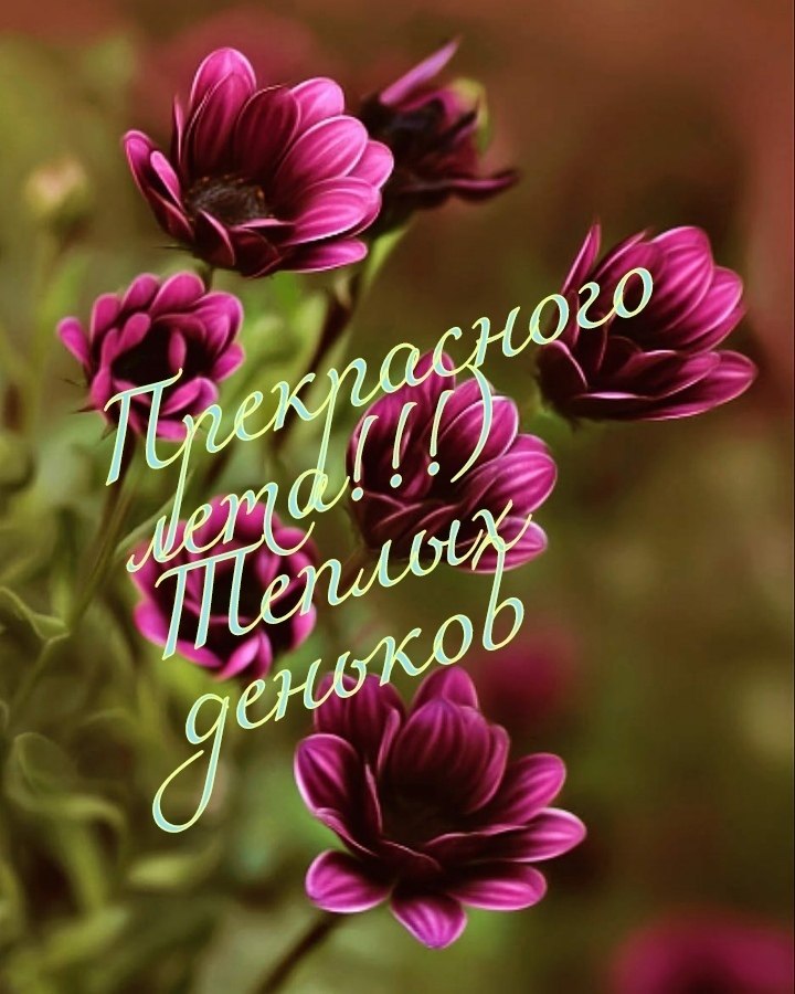   ,    . - 29  2021  12:58 - 3