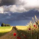 ���� ������, ����, 53 ���� - ��������� 31 ���� 2021 � ������ ������ ��������