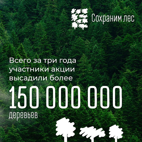 Участники акции «Сохраним лес» высадили больше 70 млн деревьев по всей России! Более 70 млн деревьев ... - 6