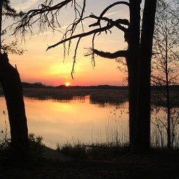 ����, ������, 39 ���