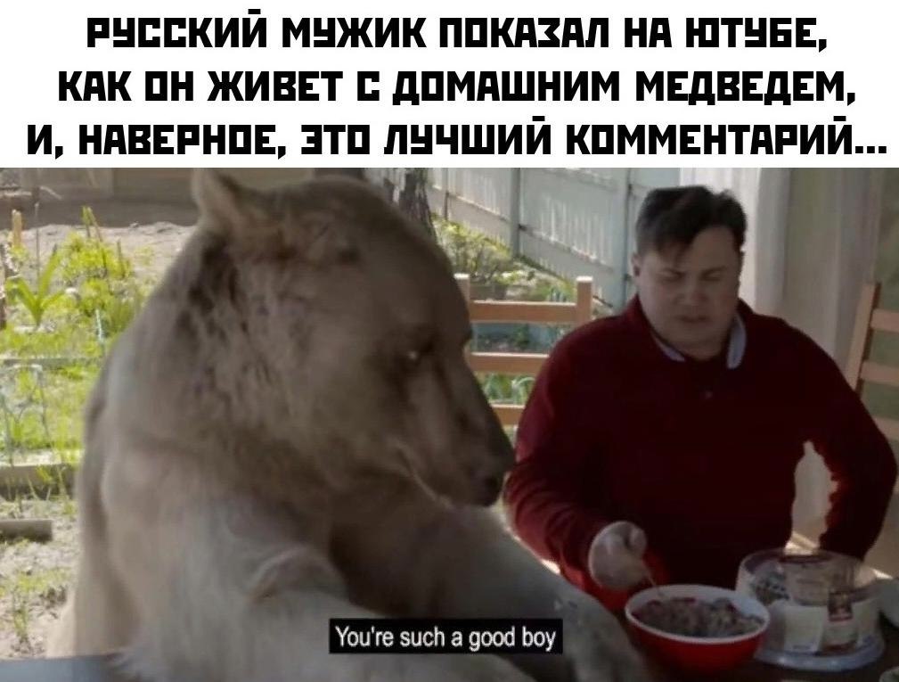 вы бы си жить с двд? .Потенциал!