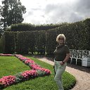 ���� ������, ���������, 55 ��� - ��������� 7 ������� 2021 � ������ ���� ����������