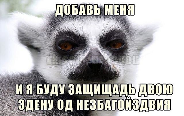***Victoria Viktorovna*** - 13  2021  04:47