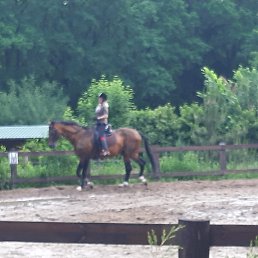 ���, �������, 41 ���