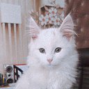 ���� ����������, ������� - ��������� 29 ������ 2022 � ������ ���� ����������