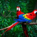 ���� ������, ������, 57 ��� - ��������� 5 ���� 2021 � ������ �� ������� �� �����