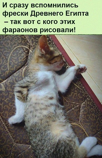   :D - 30  2021  12:19