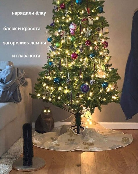 ������ - 29 ������� 2021 � 18:04
