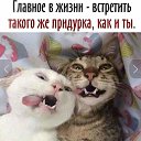 ���� �����, ������� - ��������� 16 ������ 2021 � ������ ���� ����������
