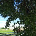 ���� ������, ����� - ��������� 6 ���� 2021 � ������ ���� ����������