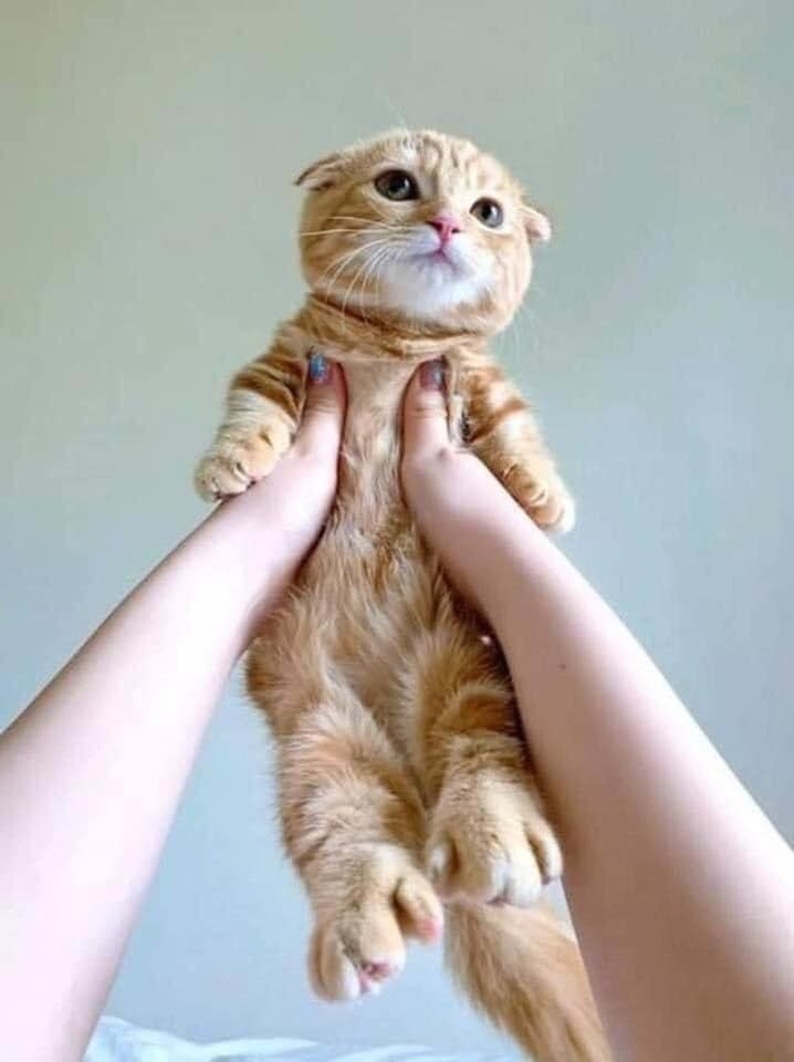   ,        , -,   