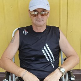, 61, 