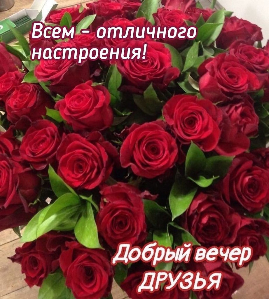   ,    . - 3  2021  18:54 - 9