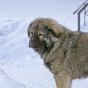 ���� Len� 66, ������ - ��������� 27 ������� 2021 � ������ ���� ������