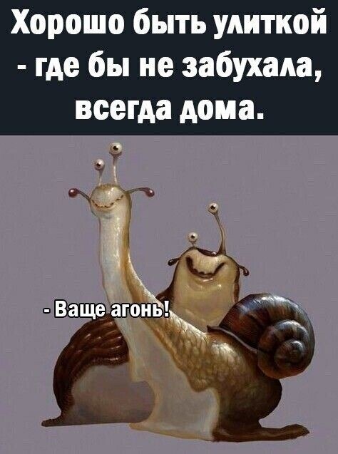 ***Victoria Viktorovna*** - 11  2022  05:10