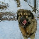 ���� Len� 66, ������ - ��������� 27 ������� 2021 � ������ ���� ������