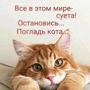 ���� �������, ������� - ��������� 26 �������� 2021 � ������ ���� ����������