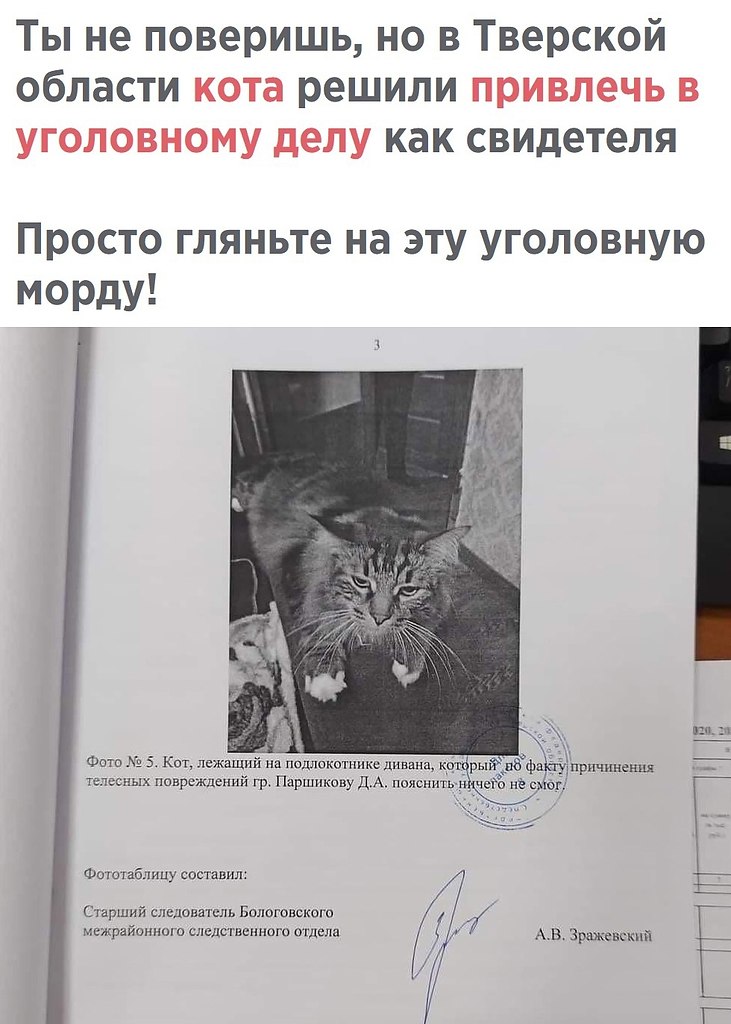 ��� �� �� ����� ����� �������