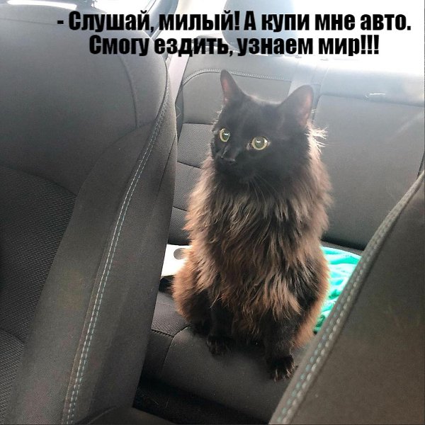 Фото из записи: