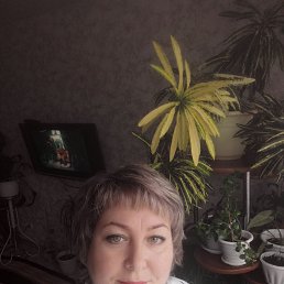 , 52, 