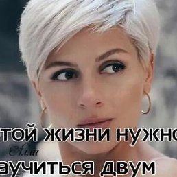 �����, ������������, 42 ����