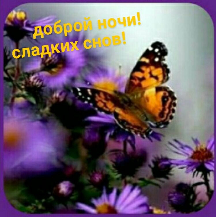 ����������� � ���������, �������� �� ������ ����. - 22 ���� 2021 � 21:45 - 2