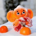 ���� ��������, Kouvola, 78 ��� - ��������� 10 ������� 2021 � ������ �������������, ����������