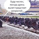 ���� �����, �������, 35 ��� - ��������� 30 ������� 2021 � ������ ���� ����������