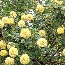 ���� �������, ���������, 61 ��� - ��������� 14 ������ 2021 � ������ ���� ����ۻ