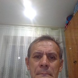 , 56 , 