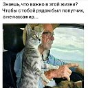 ���� ������( � ����������� �� ��������), ������ - ��������� 29 ������� 2021 � ������ ������ ��������