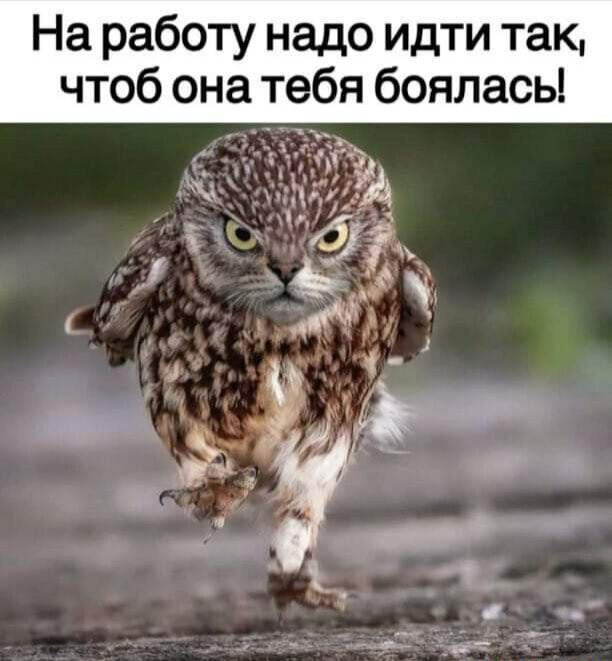   ! - 15  2021  05:48