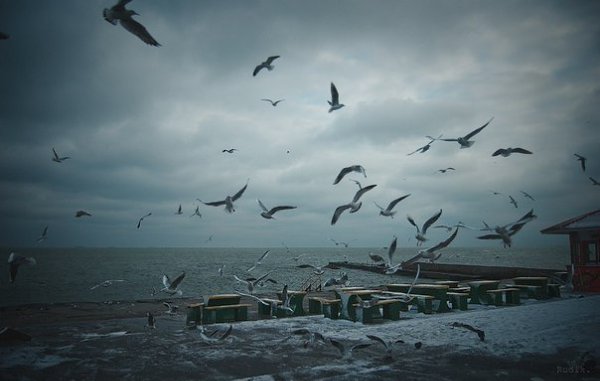Ты только терпи и знай: — Все тяжелое пройдет, все лучшее настанет.