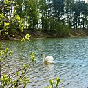 ���� Marina, ������, 39 ��� - ��������� 17 ��� 2021