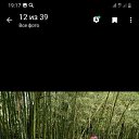 ���� �����, �������, 48 ��� - ��������� 19 ������� 2021 � ������ ���� ����������