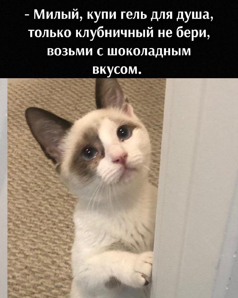       - 14  2021  18:08