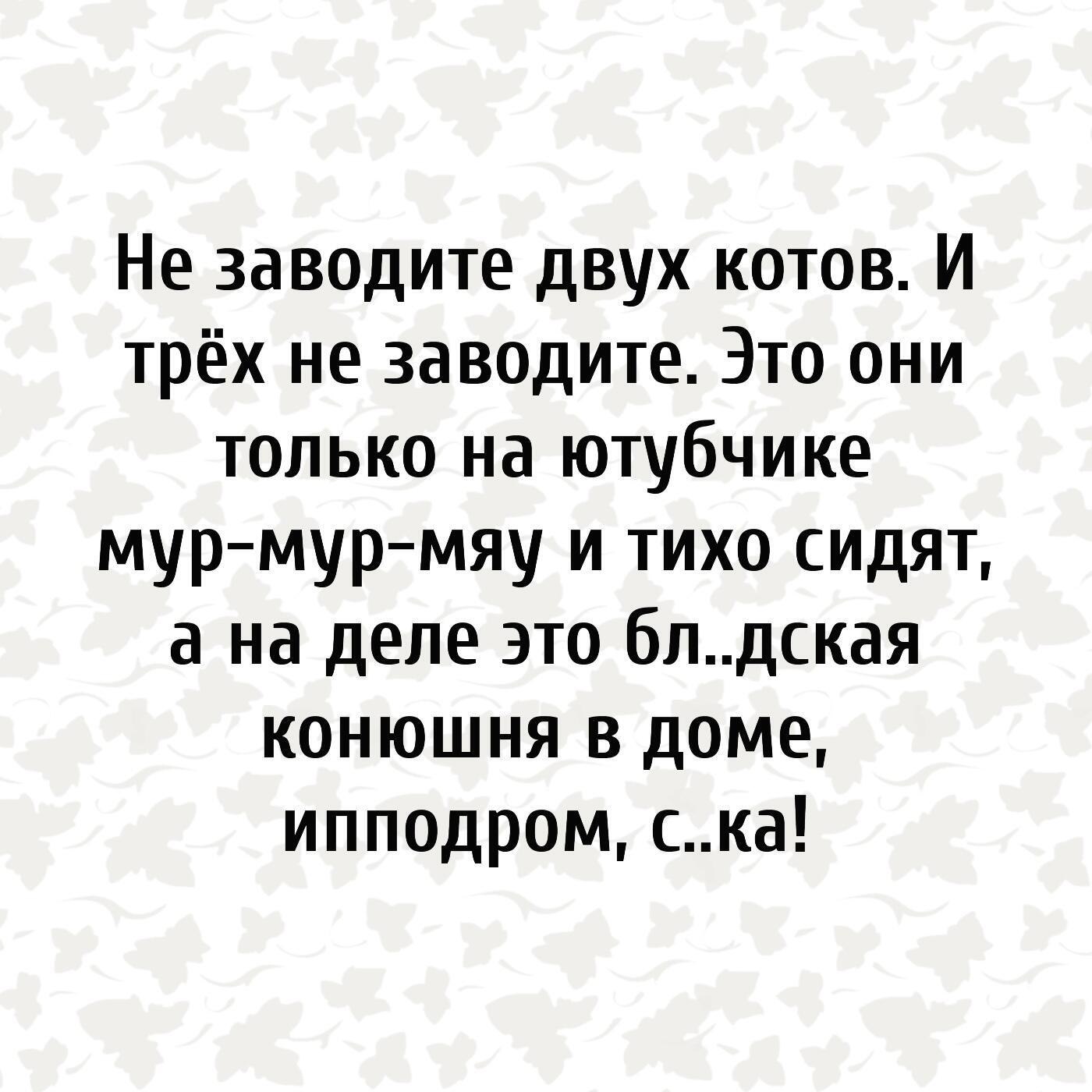 ***Victoria Viktorovna*** - 22  2021  01:30