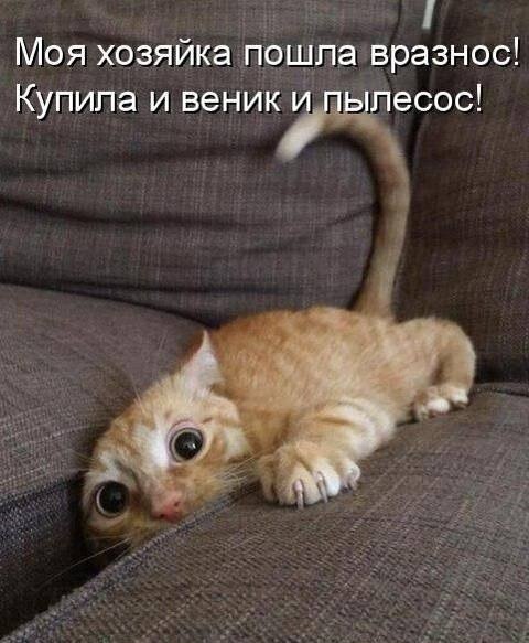    - 7  2021  02:17