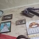 ���� ���, �������, 52 ���� - ��������� 29 ������� 2021 � ������ ���� ����������