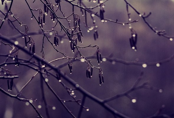 Волшебство всегда прячется в самых обыкновенных вещах. Даже скучный пасмурный день может оказаться ...