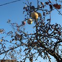  , , 75  -  27  2021    -    .    !