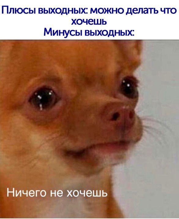           , , 