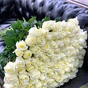 ���� ����, �����������, 55 ��� - ��������� 5 ������ 2021 � ������ ���� ����������