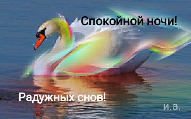 ����������� � ���������, �������� �� ������ ����. - 22 ���� 2021 � 21:45 - 8